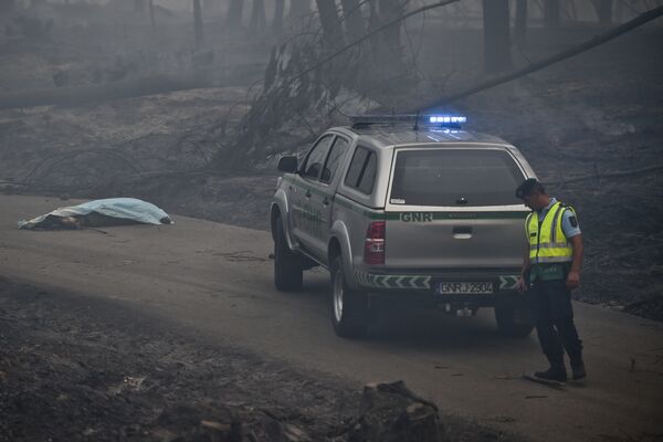 Сотрудник полиции в зоне лесных пожаров в Португалии
