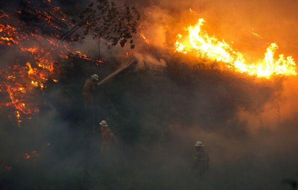 Тушение лесных пожаров в Португалии