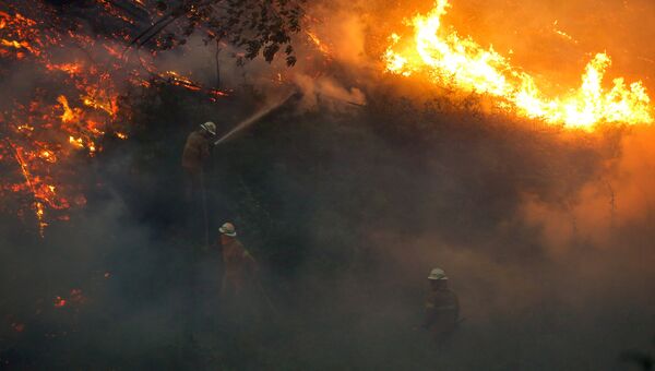 Тушение лесных пожаров в Португалии