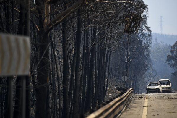 Последствия лесных пожаров в Португалии