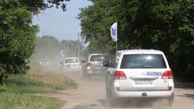 Кортеж патрулей миссии ОБСЕ в Донбассе. Архивное фото