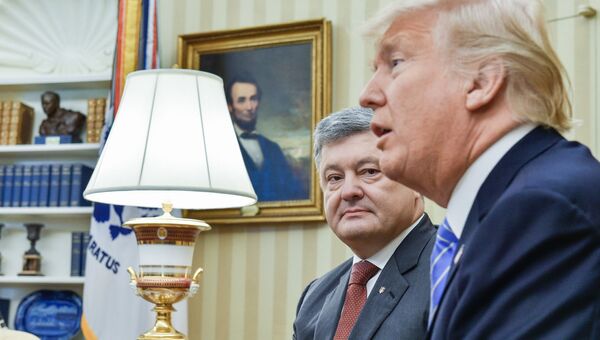 Президент Украины Петр Порошенко и президент США Дональд Трамп во время встречи. 20 июня 2017