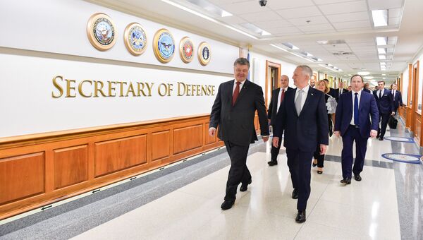 Президент Украины Петр Порошенко и министр обороны США Джеймс Мэттис во время встречи. 20 июня 2017