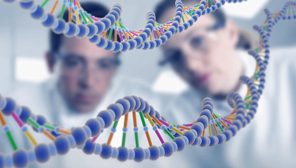 Выделение из генома отрезков с генетическими мутациями