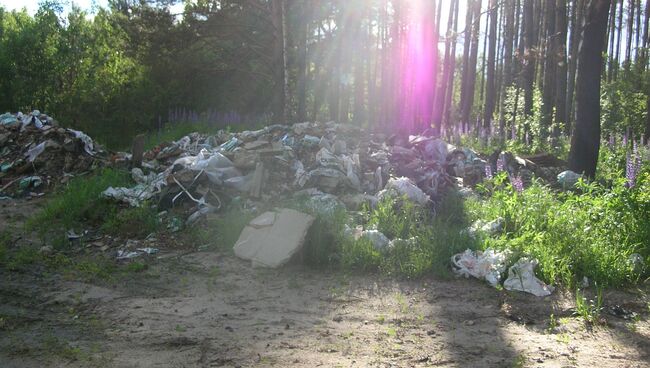 Свалка мусора на дороге в мкр. Ершово п.Красная Горбатка