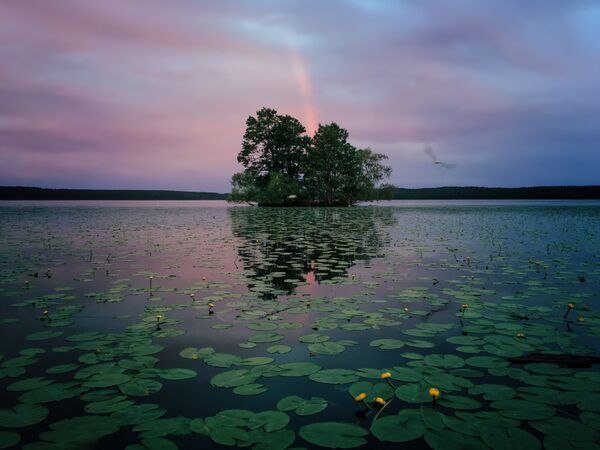 Работа фотографа из США Aaron Sandberg, занявшая 1-ое место в категории Природа в iPhone Photography Awards 2017