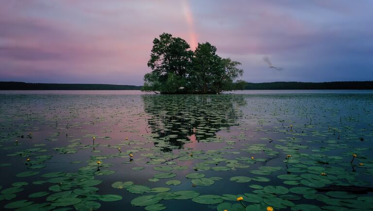 Работа фотографа из США Aaron Sandberg, занявшая 1-ое место в категории Природа в iPhone Photography Awards 2017