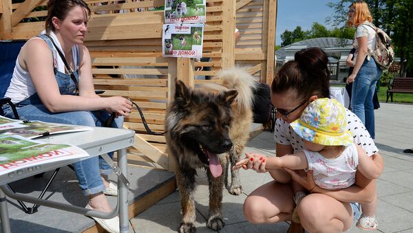 Посетители рядом с собакой на благотворительной выставке бездомных собак. Архивное фото