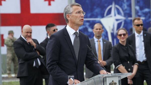 Генеральный секретарь НАТО Йенс Столтенберг  в Грузии. Архивное фото