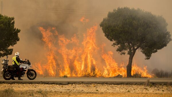 Лесной пожар на юге Испании. Архивное фото
