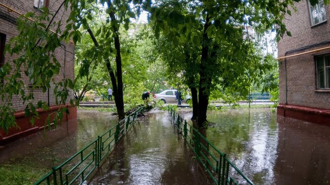 Последствия урагана в Москве