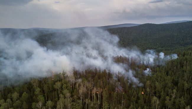 Лесной пожар в Бичурском районе Бурятии. Архивное фото