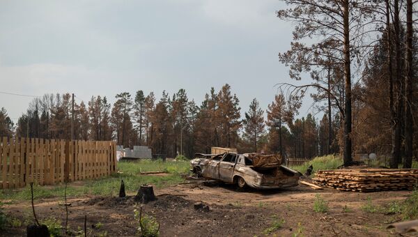 В пострадавшей от природного пожара деревне Черемушки в Прибайкальском районе Бурятии