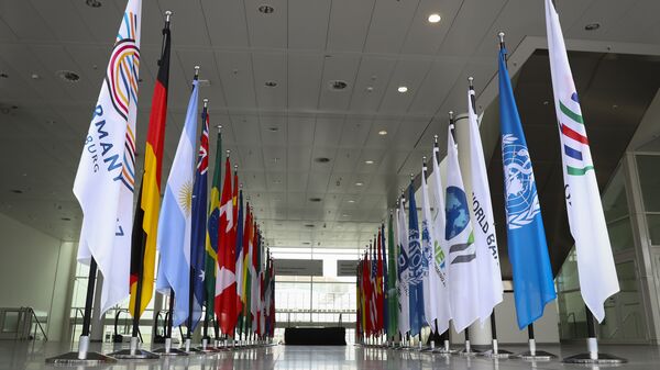 Флаги государств-участников саммита G20. Архивное фото