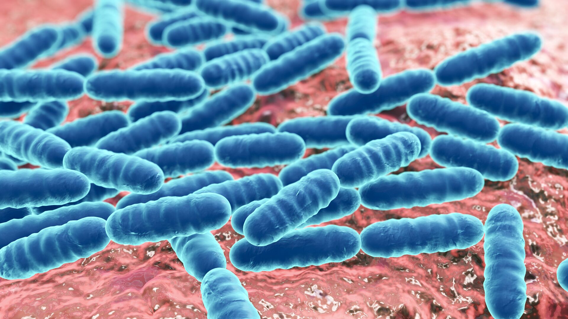 Лактобактерии - РИА Новости, 1920, 14.11.2018