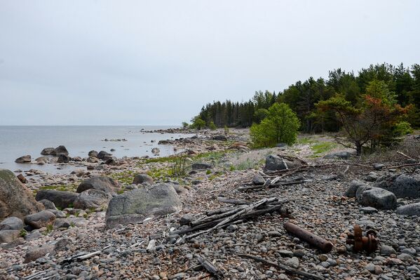 Каменный пляж на острове Большой Тютерс