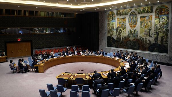 Заседание Совета Безопасности ООН в Нью-Йорке. 5 июля 2017