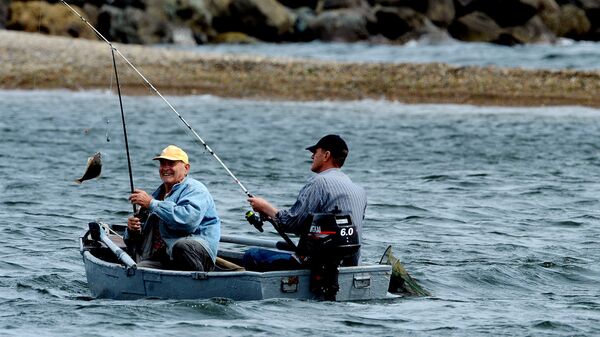 Рыбалка по правилам: как ловить рыбу, не нарушая закон