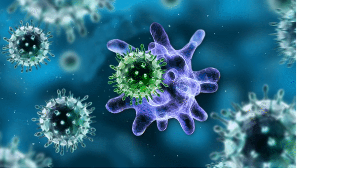 Так художник представили себе то, как иммунная система вырабатывает реакцию на вирусы