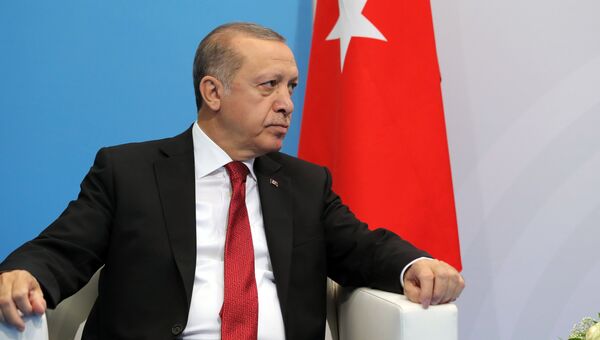 Президент Турции Реджеп Тайип Эрдоган во время беседы с президентом РФ Владимиром Путиным на полях саммита лидеров Группы двадцати G20 в Гамбурге. 8 июля 2017