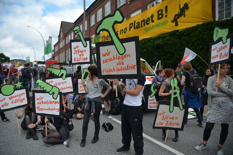 Акция протеста в связи с проведением саммита Группы двадцати в Гамбурге. 8 июля 2017 Акция протеста в связи с проведением саммита Группы двадцати в Гамбурге. 8 июля 2017