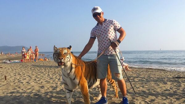 Тигр на пляже в Находке