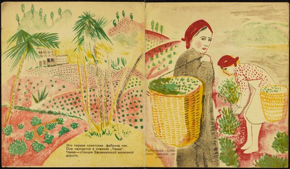 Разворот книги Чай из коллекции советских детских книг, выложенной Принстонским университетом