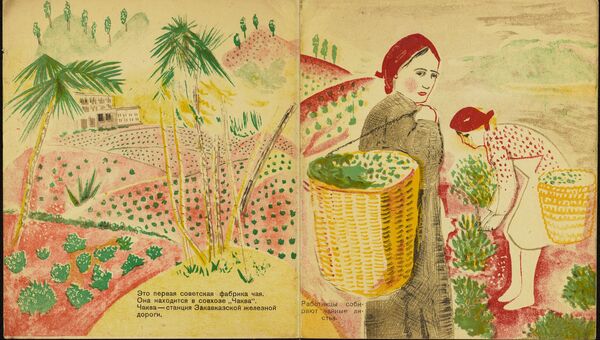 Разворот книги Чай из коллекции советских детских книг, выложенной Принстонским университетом