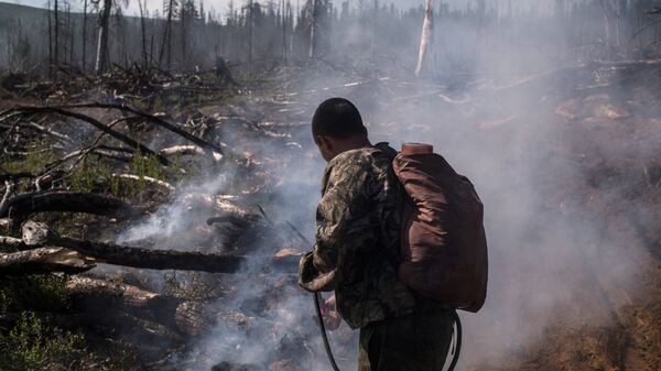 Тушение природного лесного пожара. Архивное фото