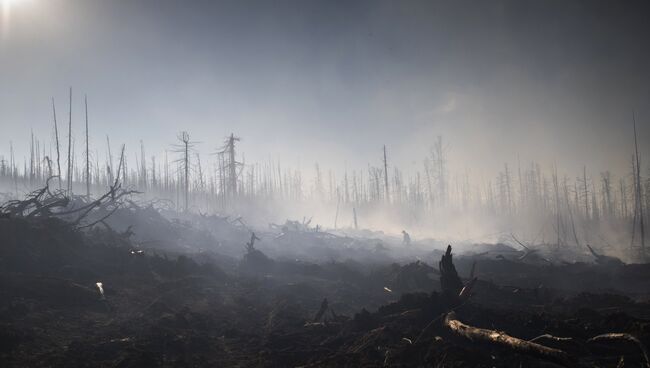 Во время тушения природного лесного пожара. Архивное фото