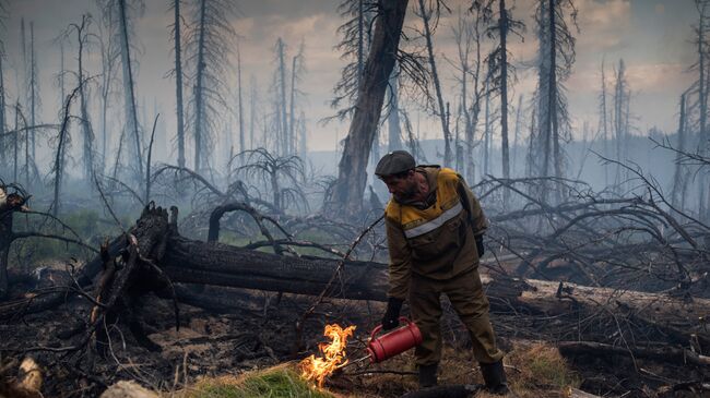 Тушение природного лесного пожара. Архивное фото