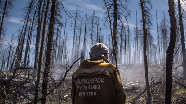 Сотрудник Авиалесоохраны Республики Бурятия во время тушения природного лесного пожара
