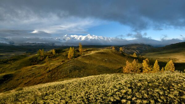 Вид на Курайскую степь в Республике Алтай. Архивное фото