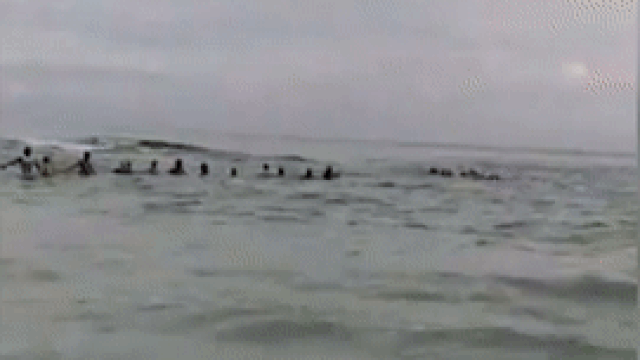 На пляже во Флориде 80 человек создали живую цепь и спасли утопающих