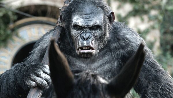 Кадр из фильма Планета обезьян: война