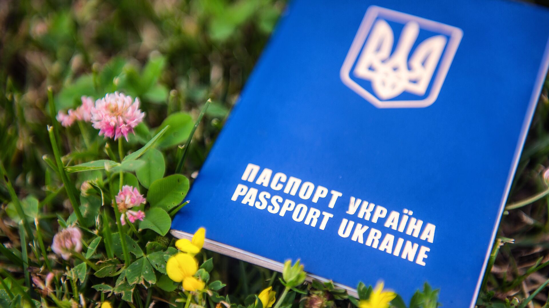 Паспорт гражданина Украины - РИА Новости, 1920, 03.06.2022