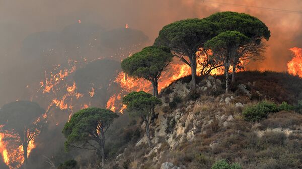 Лесные пожары в провинции Мессина, Италия. 10 июля 2017