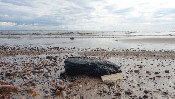 Мазутно-песчаный агрегат, образовавшийся вследствие разлива топлива в Онежском заливе и обнаруженный во время экспедиции по мониторингу морской экосистемы Белого моря