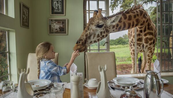 Работа фотографа Ирины Остроуховой Завтрак с жирафом, занявшая первое место в категории Детская фотография. Профессионалы  на ежегодном фотоконкурсе компании Nikon Я | В СЕРДЦЕ ИЗОБРАЖЕНИЯ