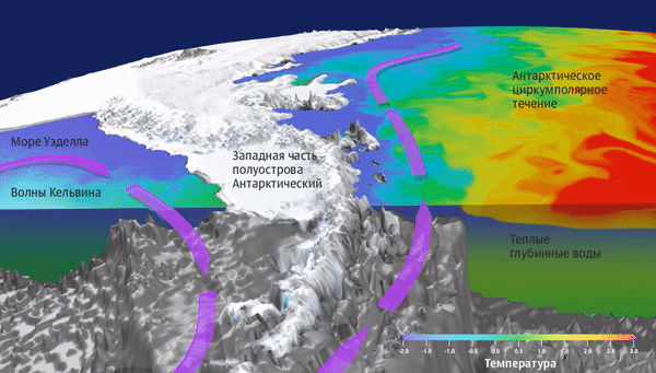 Схема движения ветров и течений в Антарктике