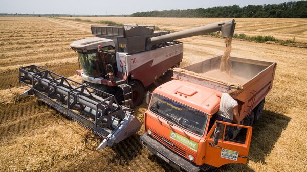 Уборка пшеницы на полях АО Агрокомплекс в Краснодарском крае