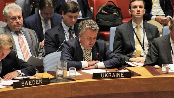 Сергей Кислица на заседании Совета Безопасности ООН