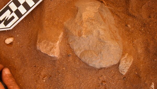 Найденная прираскопках головка топора на участке Маджведбебе, расположенном в регионе Какаду в северной Австралии