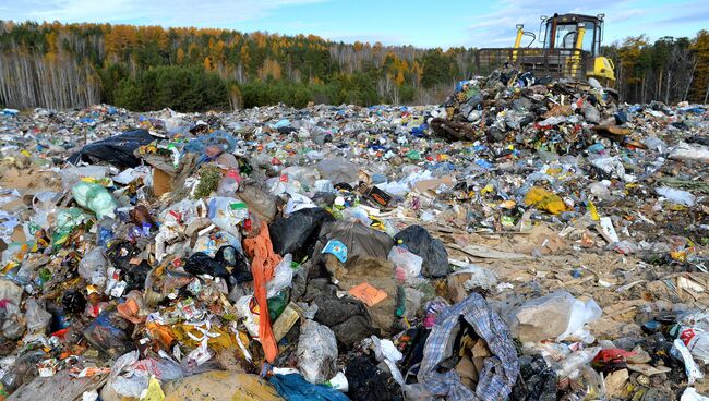 В Московской области  убрали свалку. Архивное фото