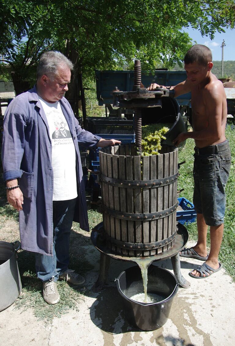 Отжим виноградного сока в винодельческом хозяйстве Шато Люсьен в селе Хмельницкое