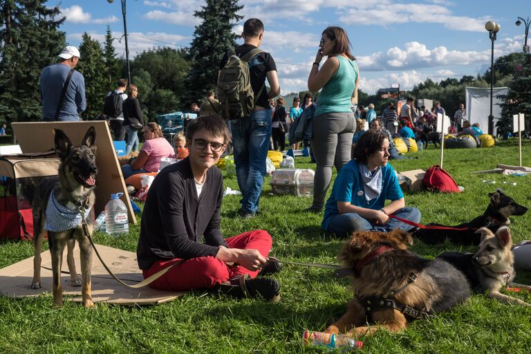 Участники фестиваля собак и людей Спутники жизни в Измайловском Парке культуры и отдыха в Москве