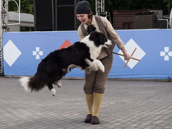 Участница фестиваля собак и людей Спутники жизни в Измайловском Парке культуры и отдыха в Москве