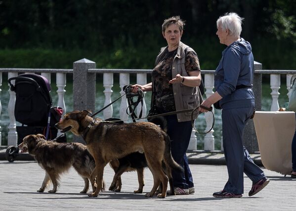 Участники фестиваля собак и людей Спутники жизни в Измайловском Парке культуры и отдыха в Москве