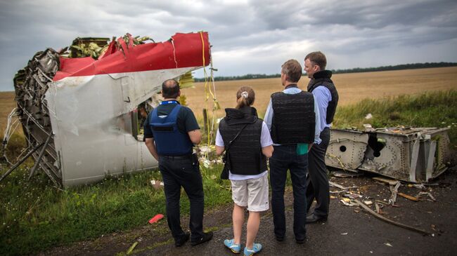 Место крушения лайнера Boeing 777 Малайзийских авиалиний в районе города Шахтерск Донецкой области. Архивное фото