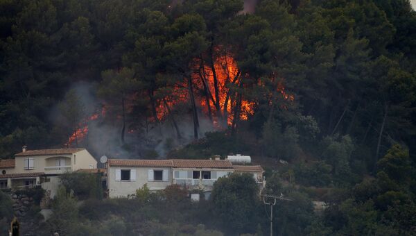 Пламя лесного пожара возле домов в Карросе недалеко от Ниццы 24 июля 2017